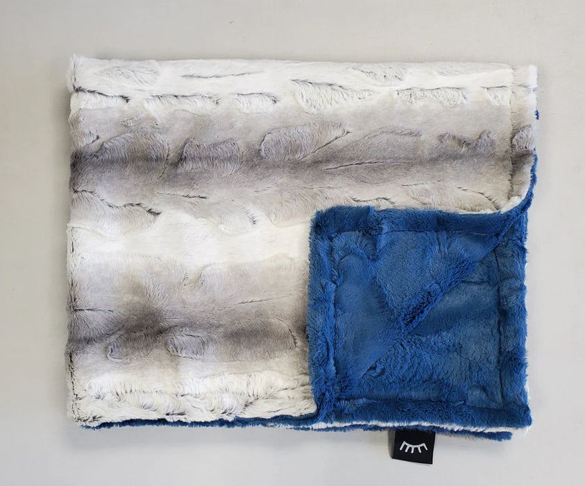 Winx + Blinx Blankets