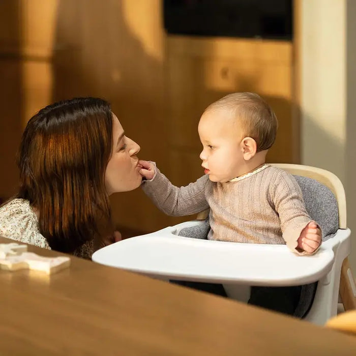 Nuna Bryn High Chair