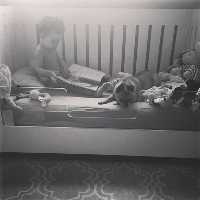 Roh Crib Acrylic Conversion