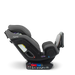 Nuna Exec Car Seat
